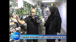 Çiçeklerde Böceklenmeye Karşı Yapılması Gerekenler Neler