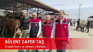 KIRŞEHİRDE ŞAP HASTALIĞINA KARŞI EKİPLERİMİZ 24 SAAT ÇALIŞIYOR