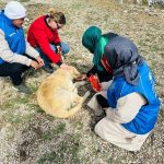 Merhamet Timi iş başında…