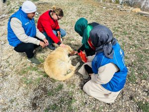 Merhamet Timi iş başında…