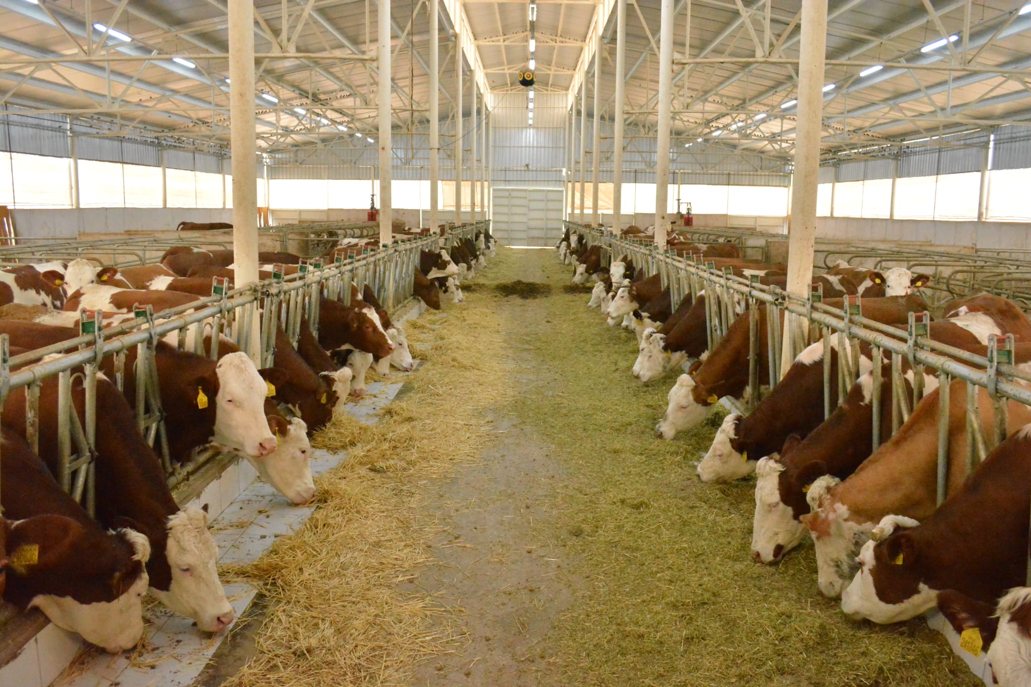 TKDK KIRŞEHİR’DE YATIRIMLARI DESTEKLEMEYE DEVAM EDİYOR