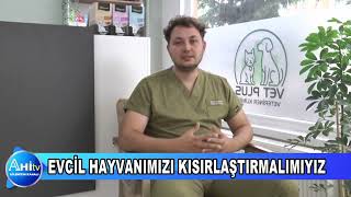 VETERİNER HEKİM BERAT YAĞMUR EVCİL HAYVANIMIZI KISIRLAŞTIRMALIMIYIZ