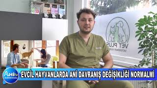 VETERİNER HEKİM BERAT YAĞMUR EVCİL HAYVANLARDA ANİ DAVRANIŞ DEĞİŞİKLİĞİ NORMALMİ