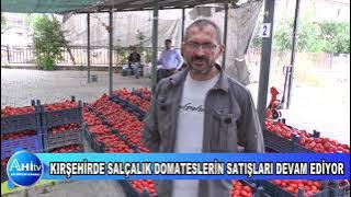 KIRŞEHİRDE SALÇALIK DOMATESLERİN SATIŞLARI DEVAM EDİYOR